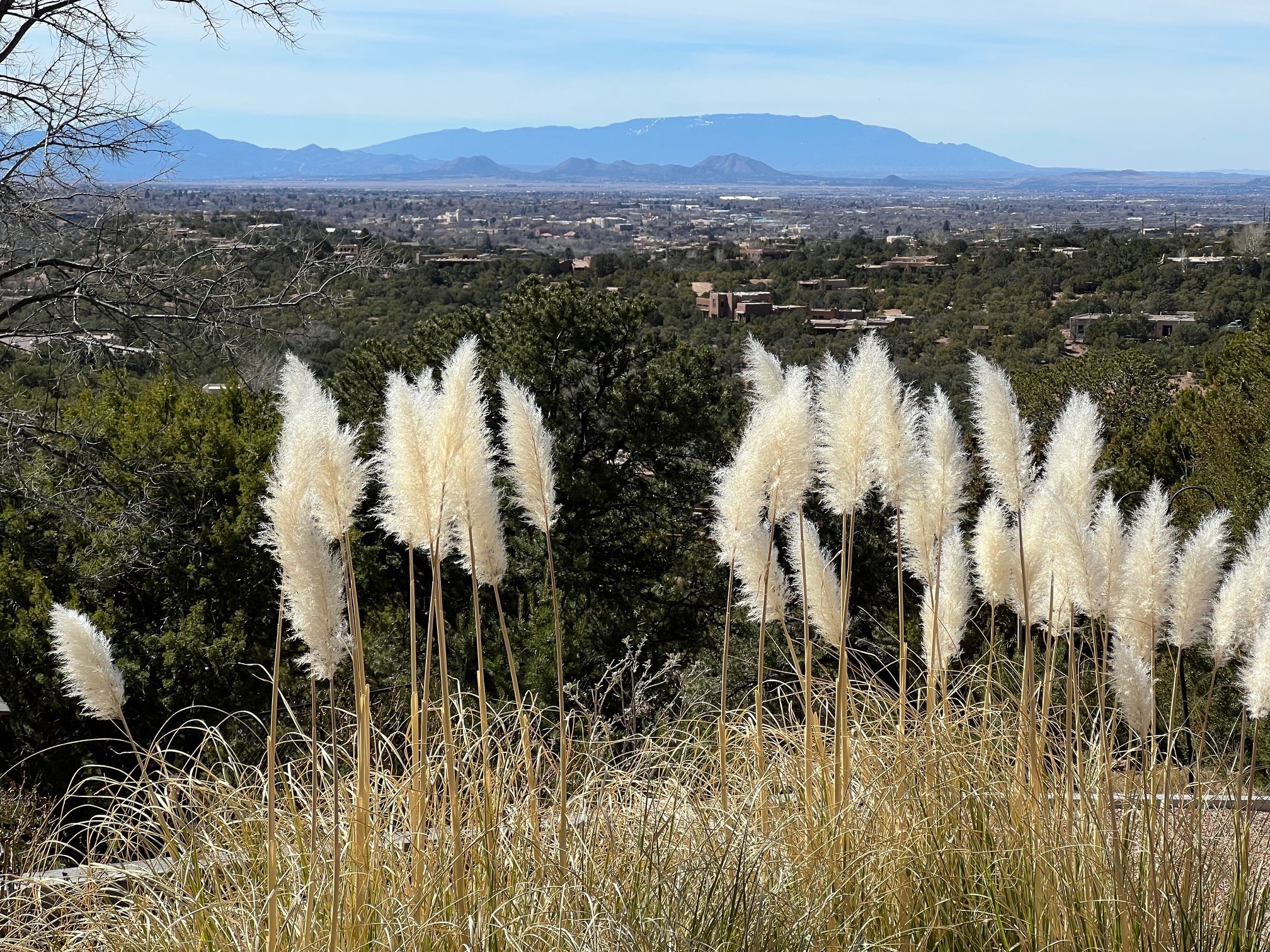111 Barranca Road Santa Fe, NM 87501 - Photo 63 of 74 Off the back terrace