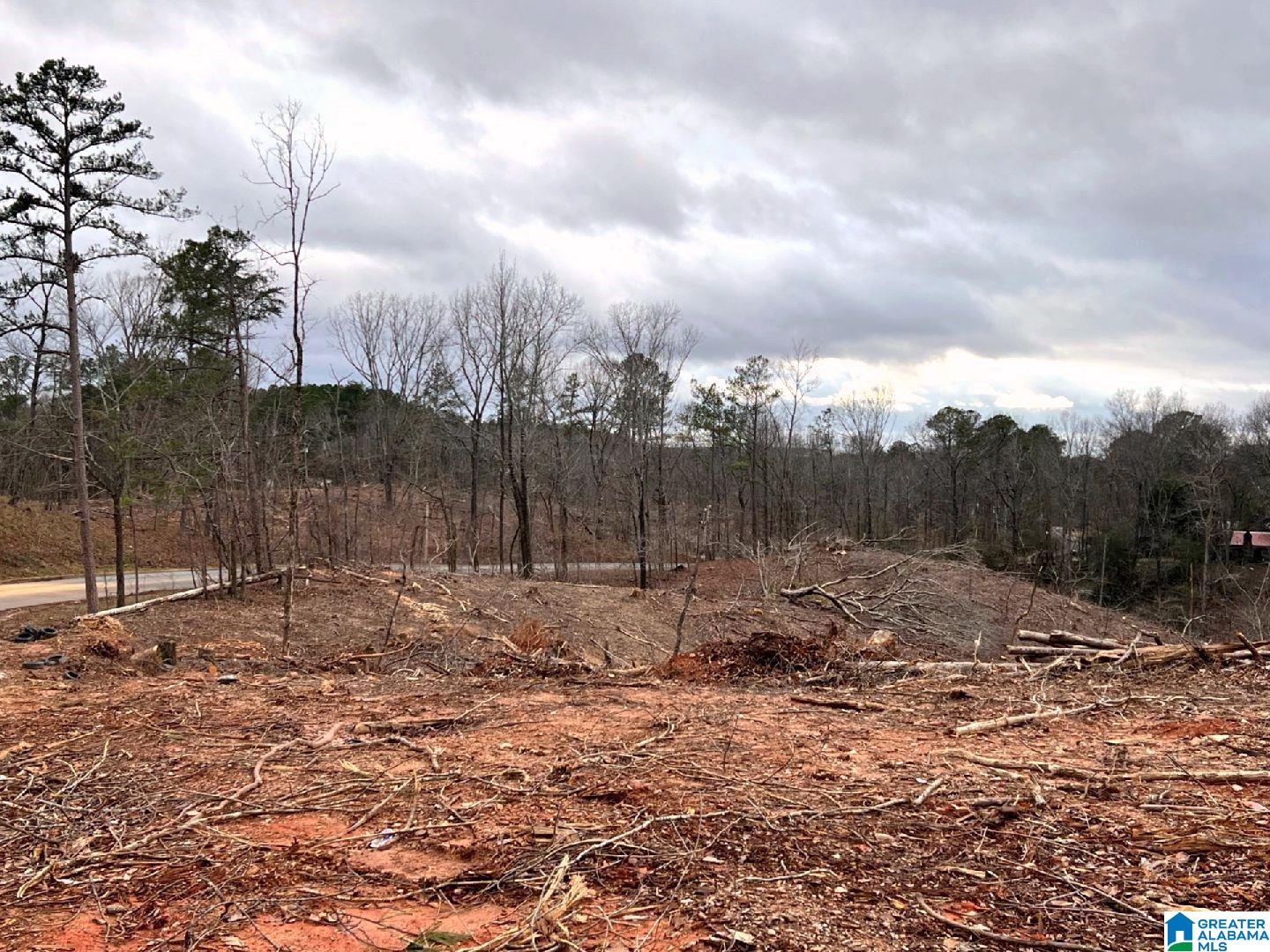 127 County Road, Unit 32 99 Sylacauga, AL 35150 - Photo 2 of 7