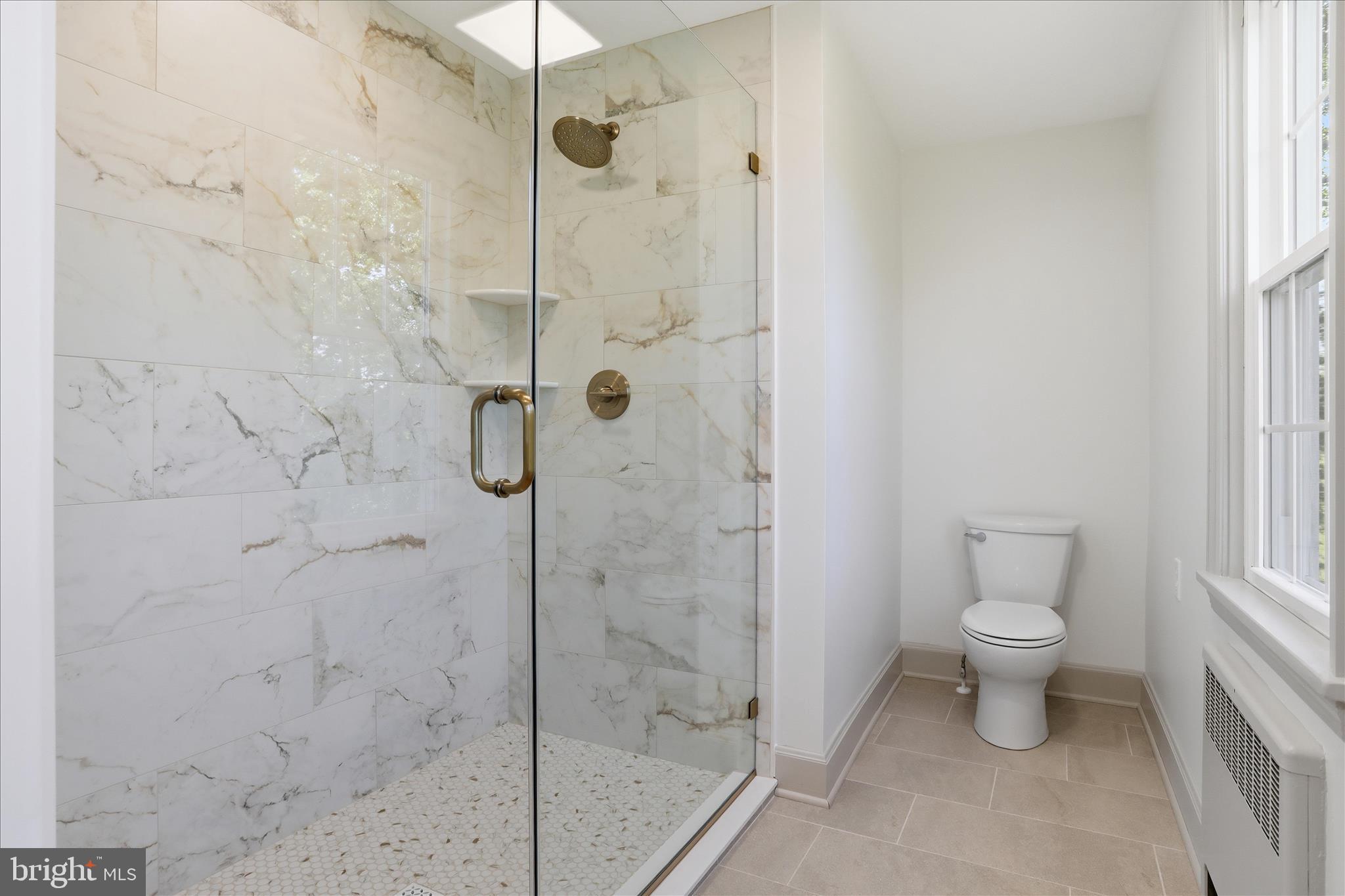 8805 Reichard Road Fairplay, MD 21733 - Photo 18 of 73 Primary Bathroom