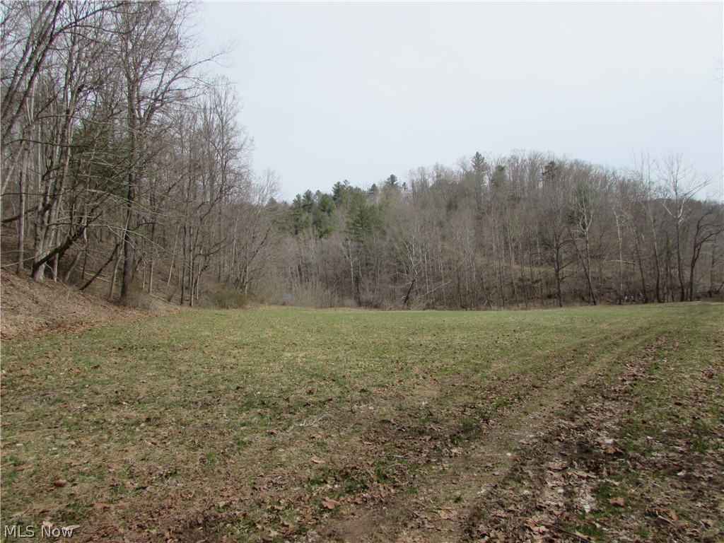 Bean Ridge Road Smithville, WV 26178 - Photo 19 of 34 Gallery Image 19