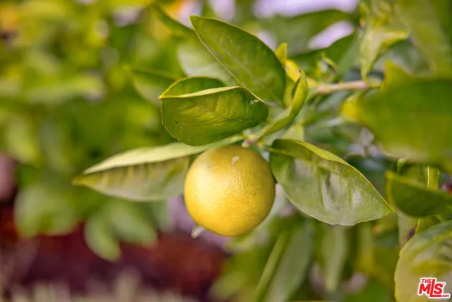 $1,899,000 | 4640 Mary Ellen Avenue, Sherman Oaks, CA 91423