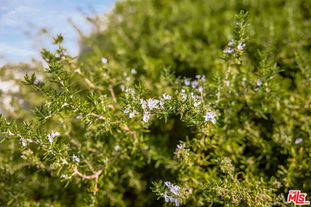 $1,899,000 | 4640 Mary Ellen Avenue, Sherman Oaks, CA 91423