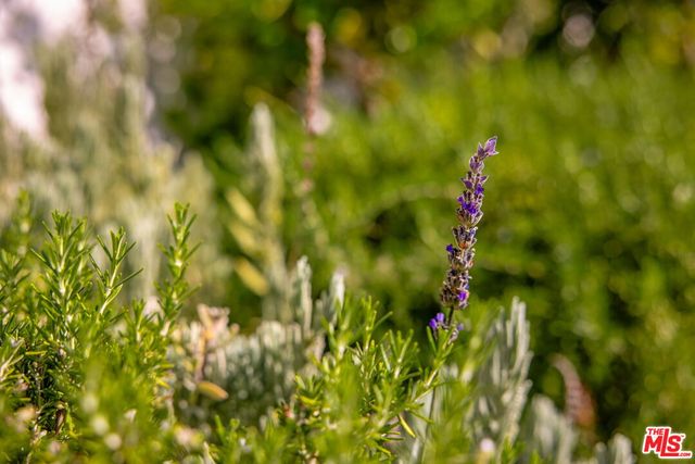 $1,899,000 | 4640 Mary Ellen Avenue, Sherman Oaks, CA 91423