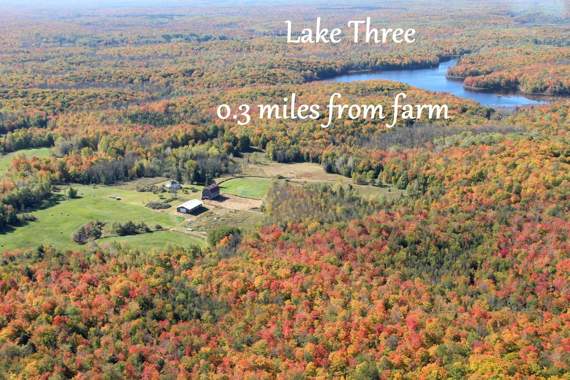 63999 Wolanek Road, Unit 313 ACRES Marengo, WI 54855 - Photo 12 of 93