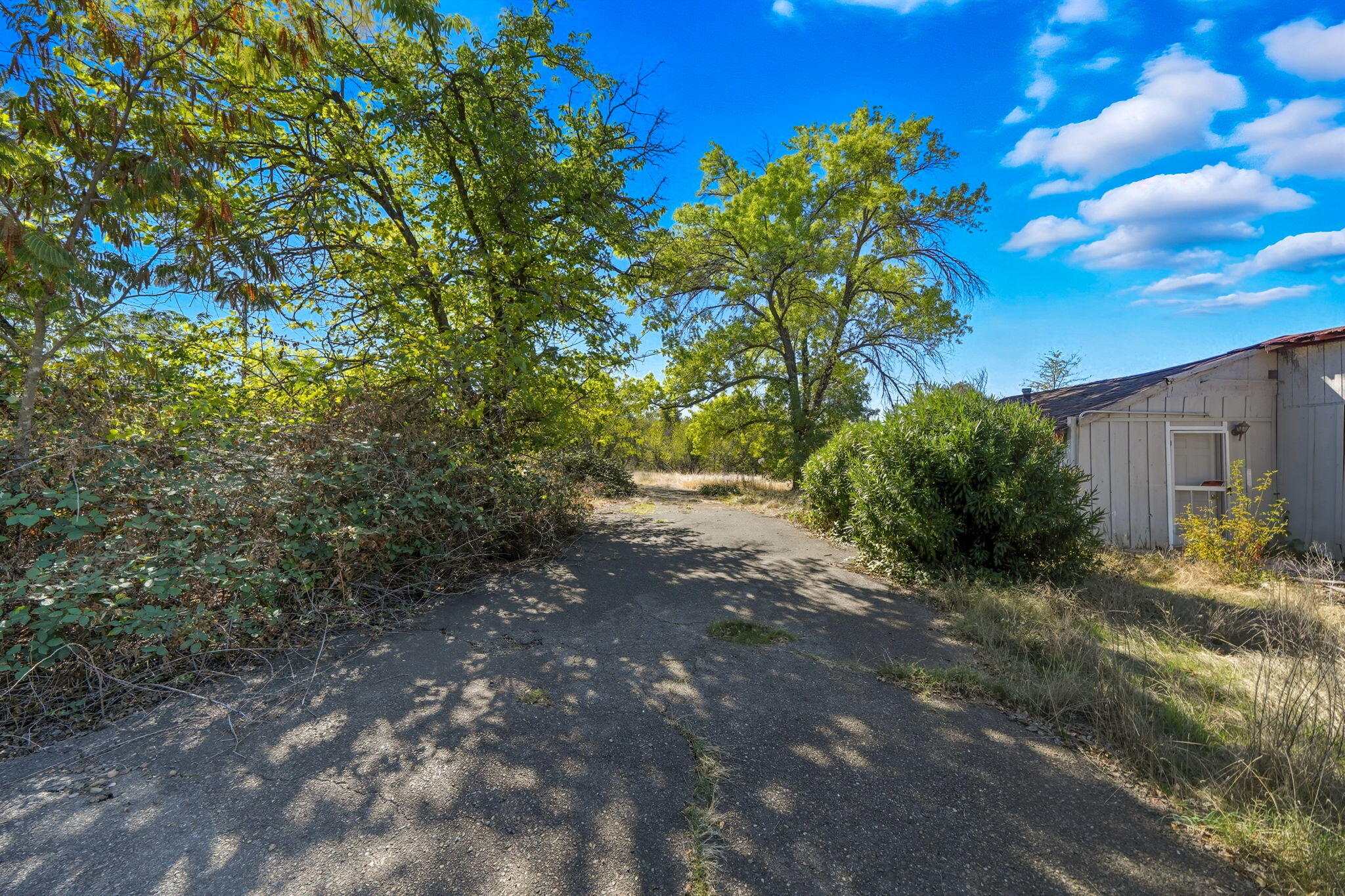 6298 Oasis Road Redding, CA 96003 - Photo 14 of 33 13-web-or-mls-IMG-13