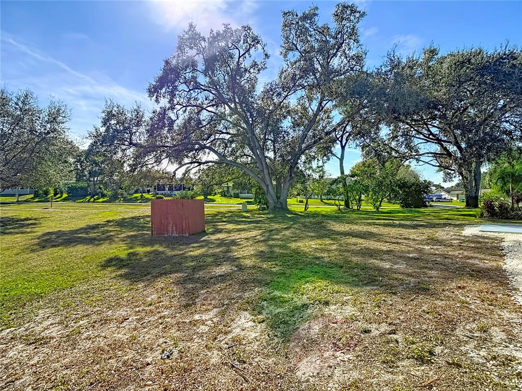 8130 San Felipe Court Port Richey, FL 34668 - Photo 49 of 54 a view of a park with large trees