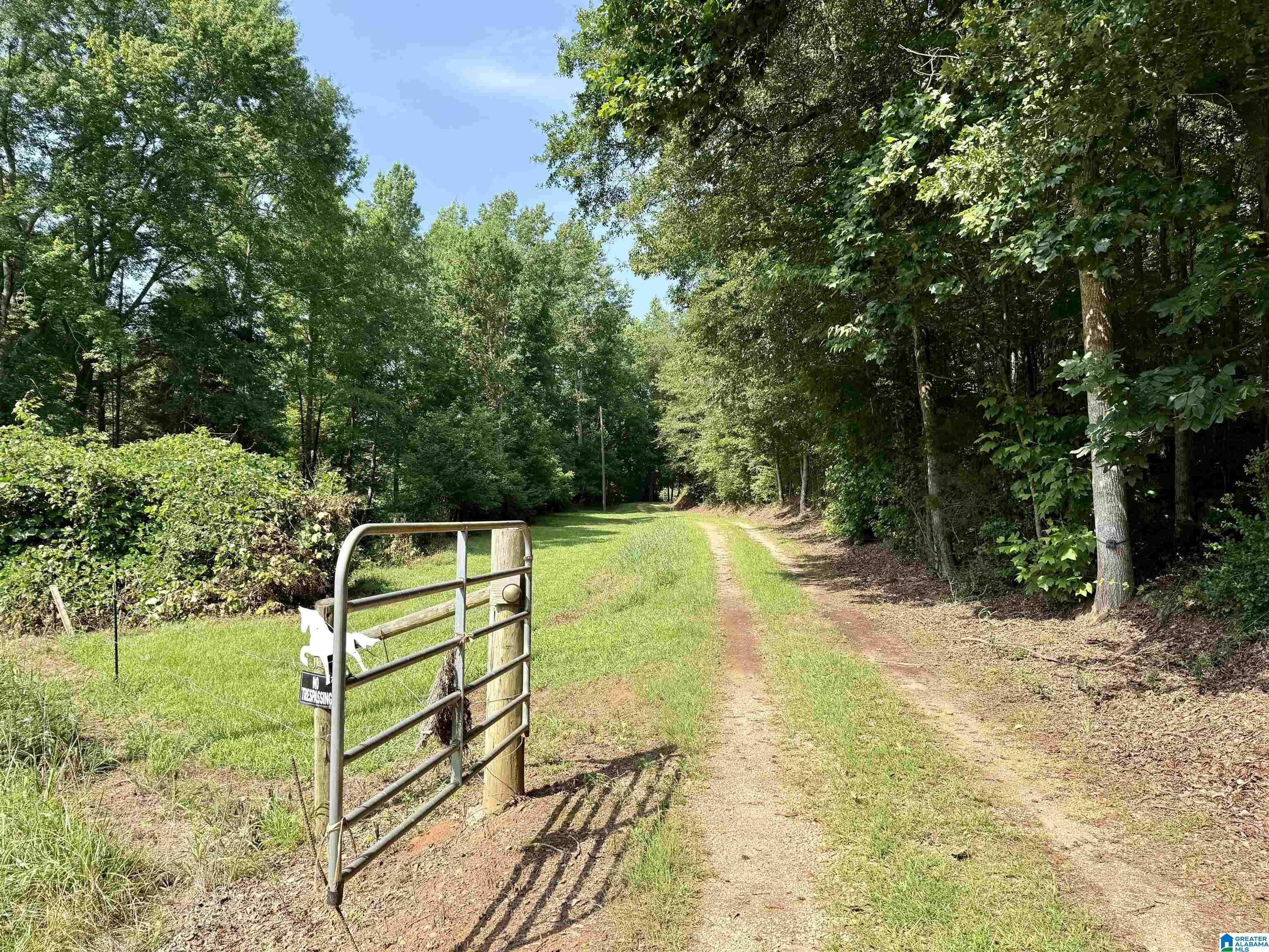 780 Lost Creek Road Delta, AL 36258 - Photo 5 of 50 Gallery Image 5