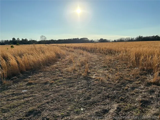 $99,000 | Undisclosed Address, Maxton, NC 28364