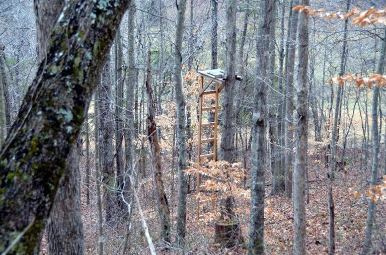 1709 Macedonia Road Irvine, KY 40336 - Photo 70 of 87 Ready to hunt!