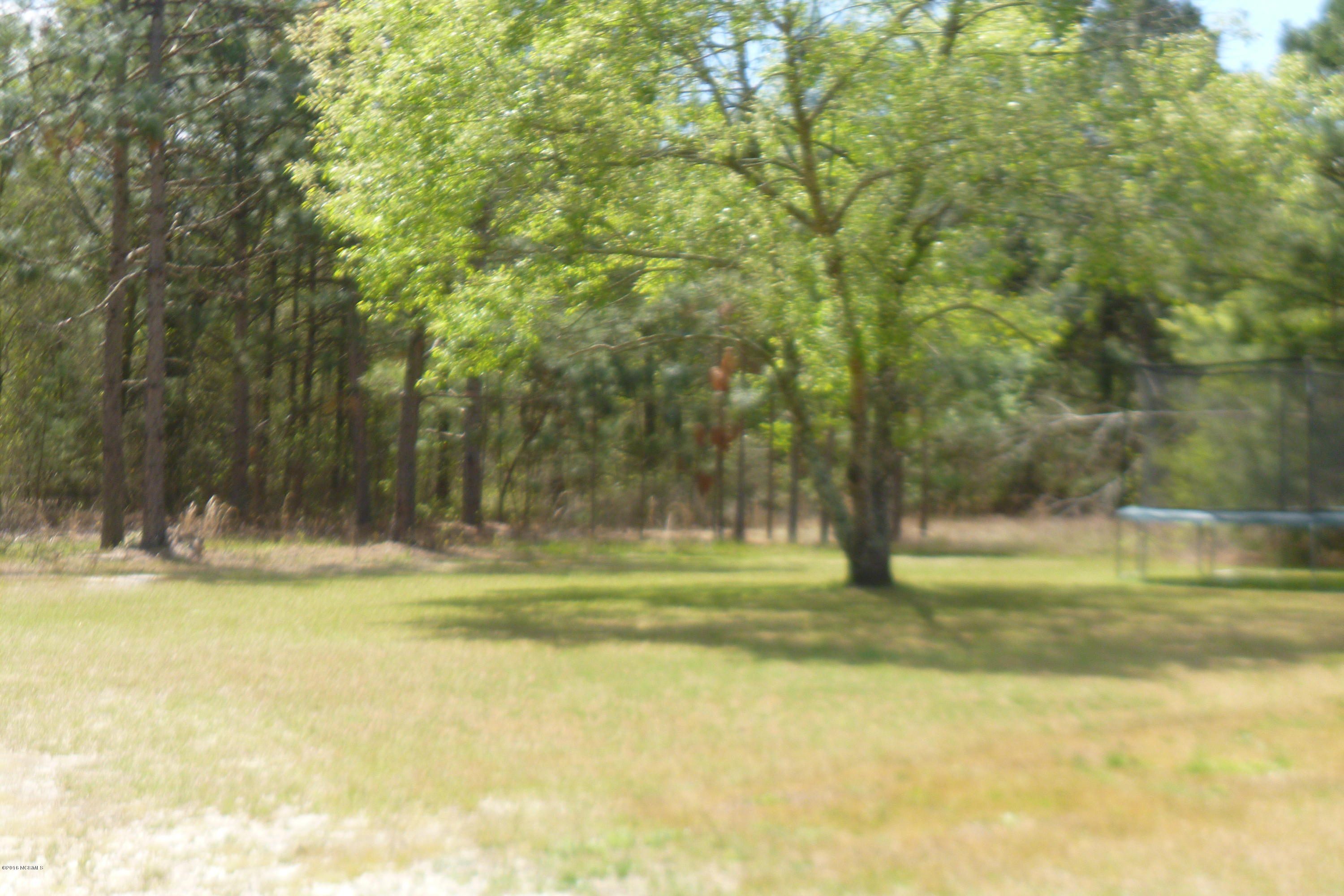 9372 Wildcat Road Ivanhoe, NC 28447 - Photo 18 of 23 P1090914