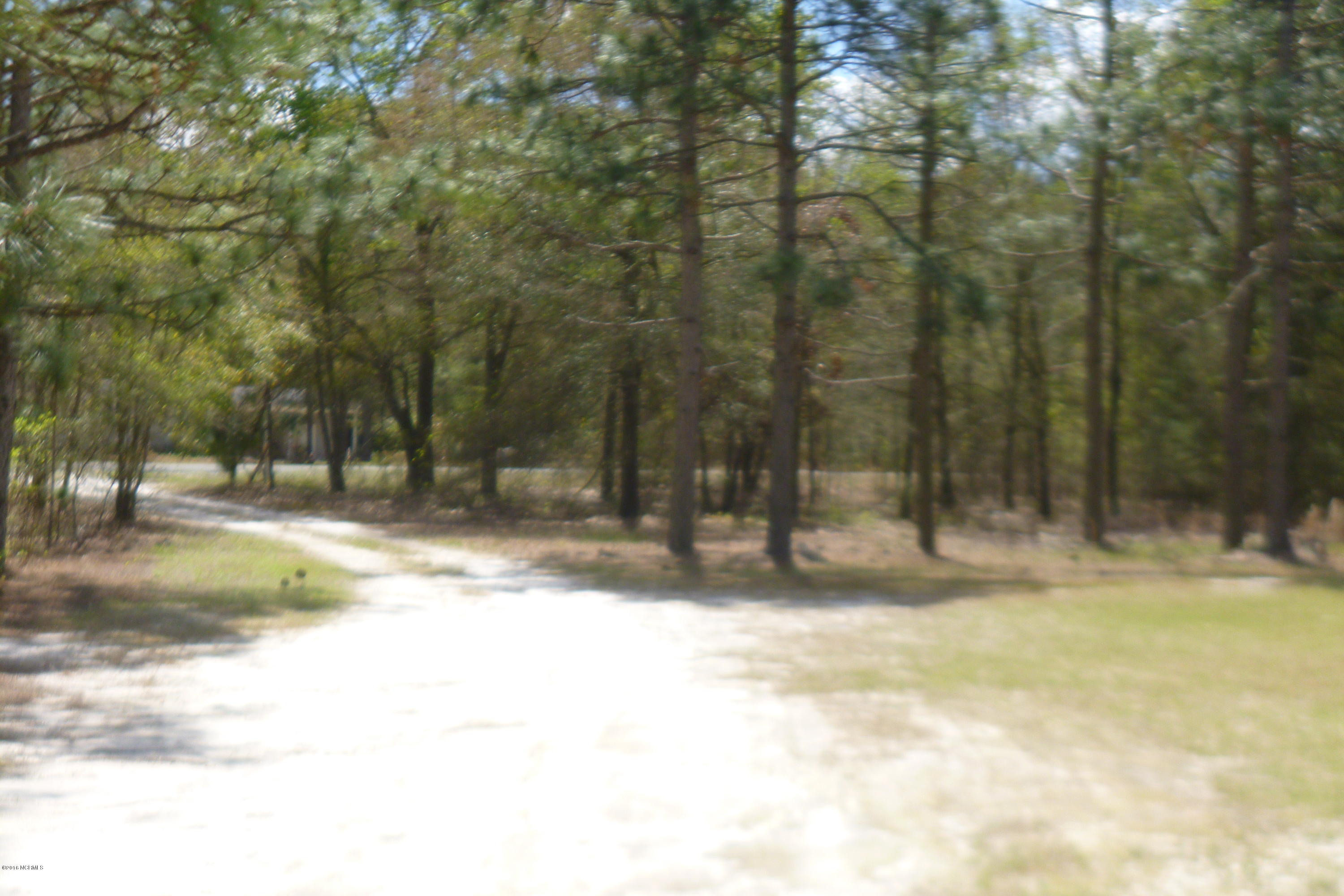 9372 Wildcat Road Ivanhoe, NC 28447 - Photo 19 of 23 P1090915