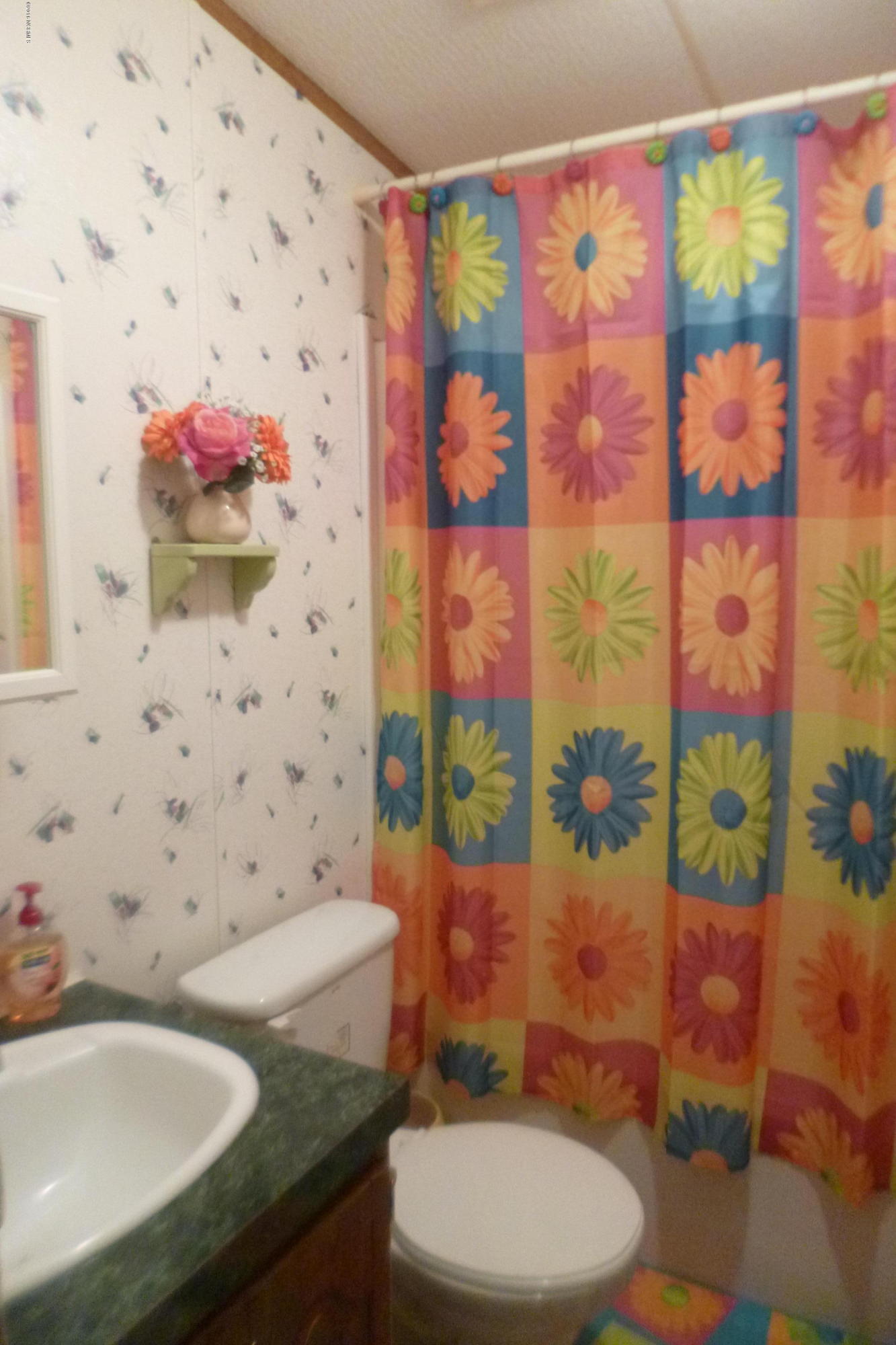 9372 Wildcat Road Ivanhoe, NC 28447 - Photo 8 of 23 P1090902