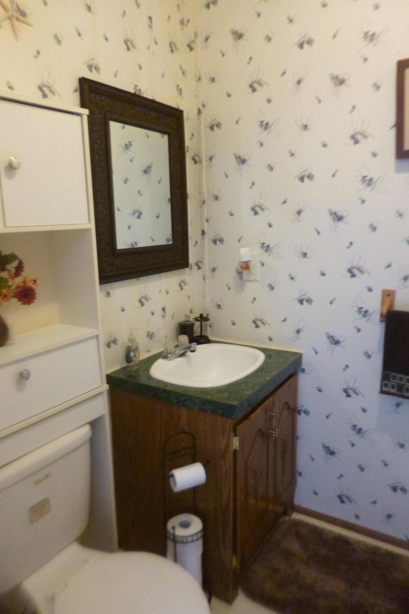 9372 Wildcat Road Ivanhoe, NC 28447 - Photo 10 of 23 P1090905