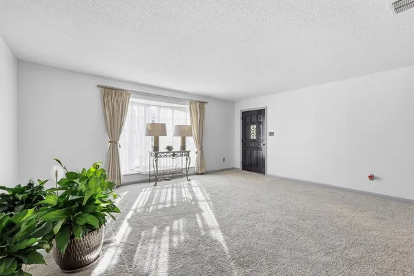 a view of a room with wooden floor and potted plant