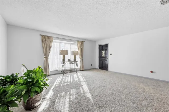 a view of a room with wooden floor and potted plant