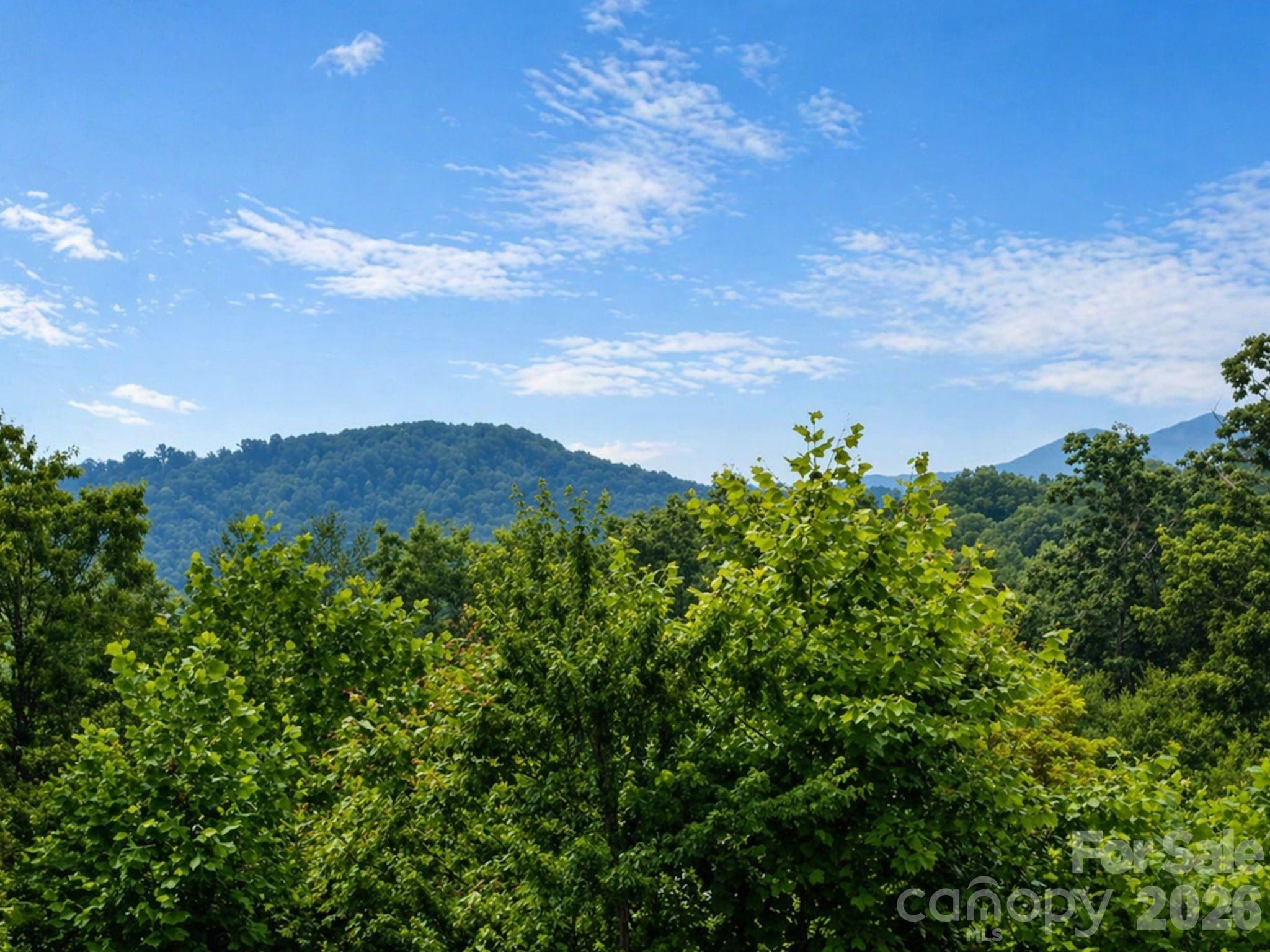 73 Dalya Road Swannanoa, NC 28778 - Photo 5 of 23