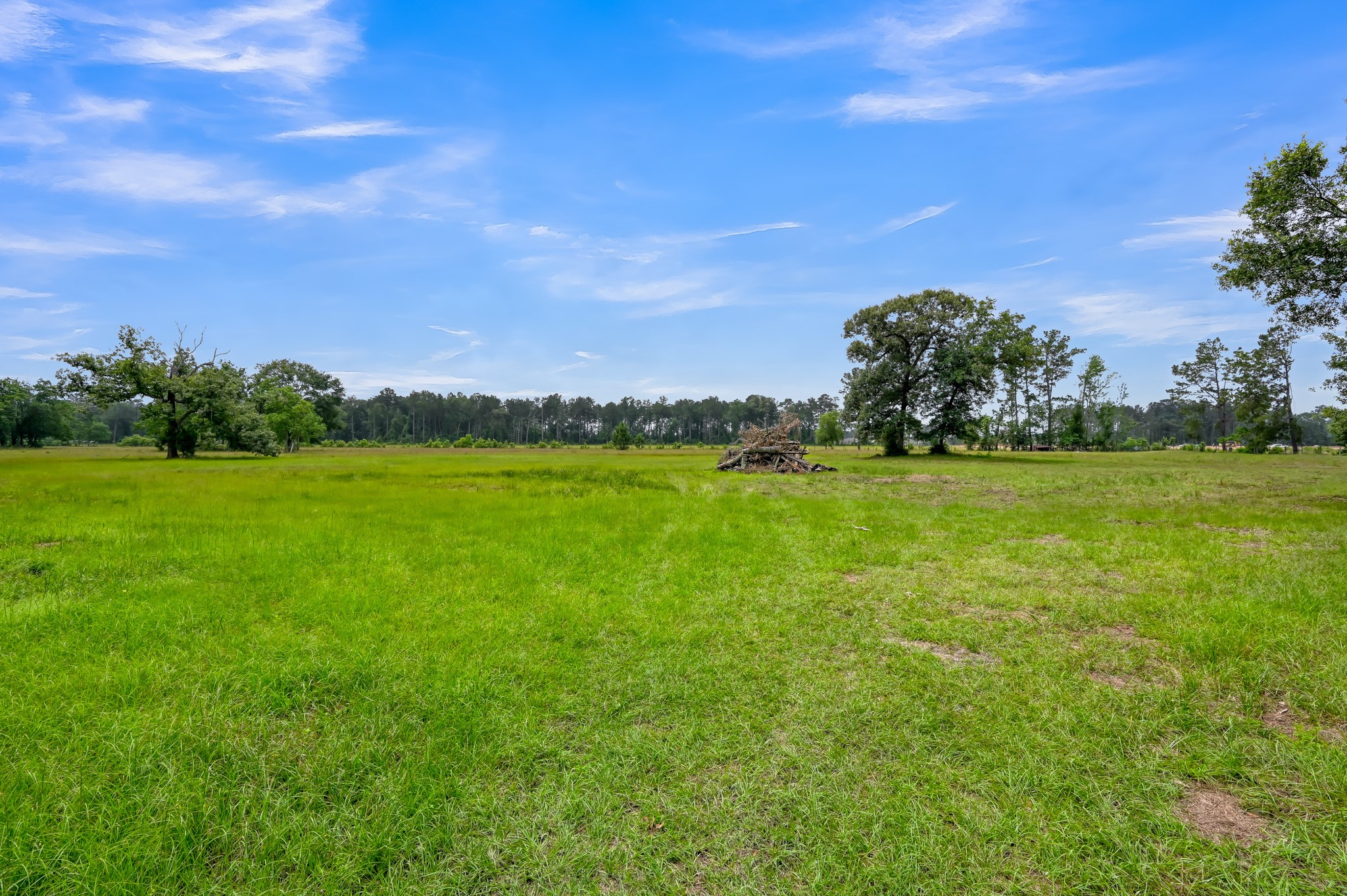 16892 Payne Road Conroe, TX 77302 - Photo 45 of 50 Pasture