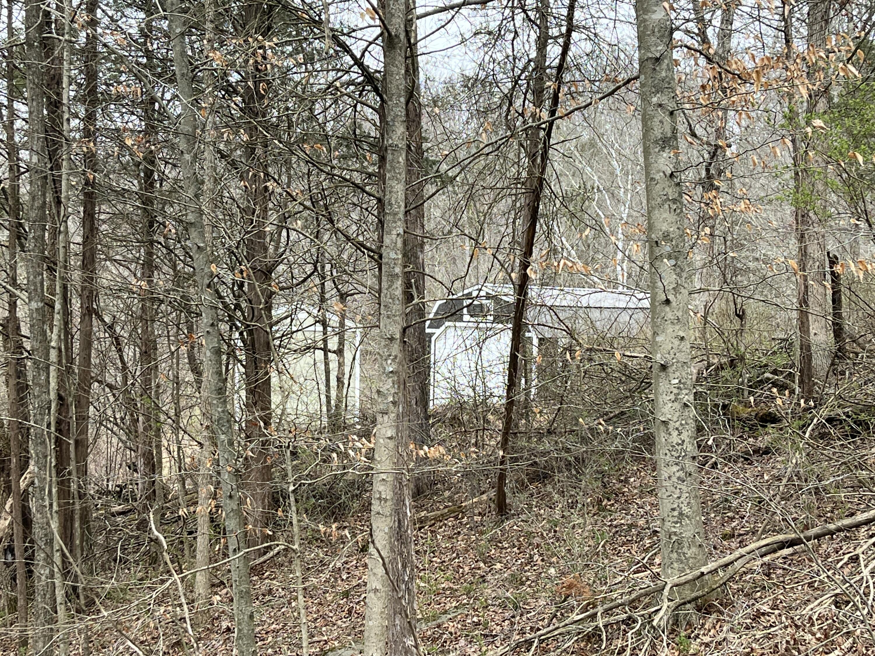 3105 Lots 245-249 Road Owenton, KY 40359 - Photo 45 of 50 IMG_6104