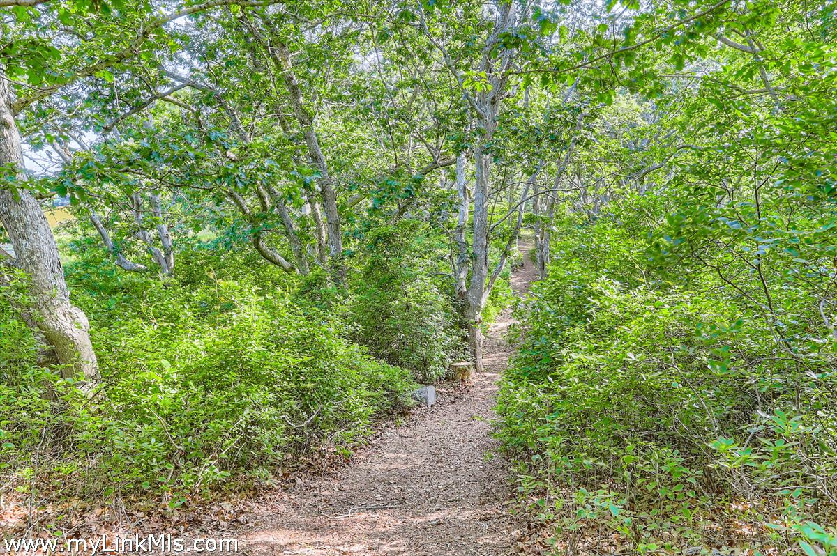 44 Cencelle Chilmark, MA 02535 - Photo 9 of 51