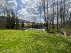 42 Mc Call Dam Road Loganton, PA 17747 - Photo 29 of 30 Gallery Image 29