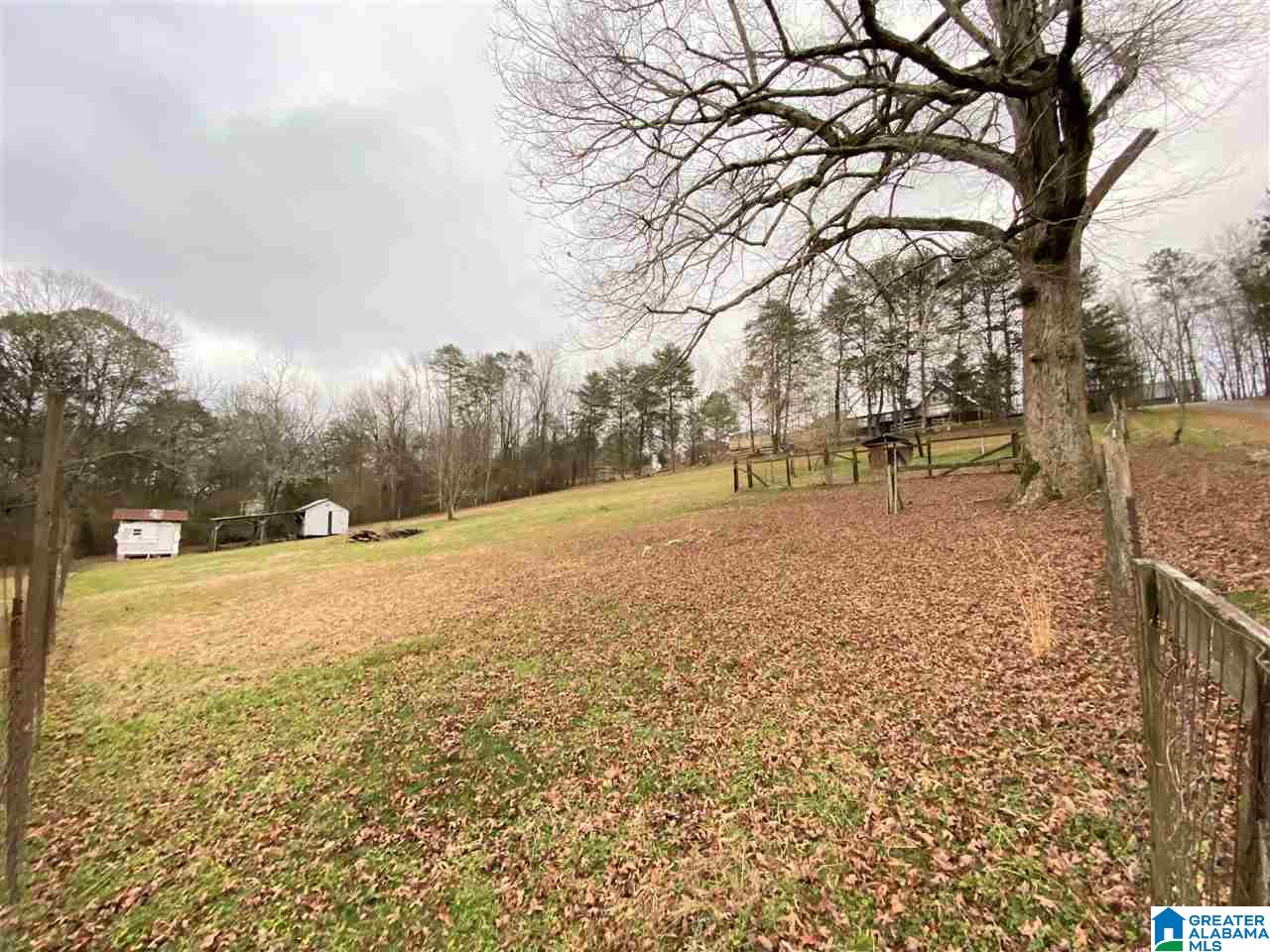 0 Sulfur Springs Road, Unit 6 Springville, AL 35146 - Photo 2 of 2 Gallery Image 2