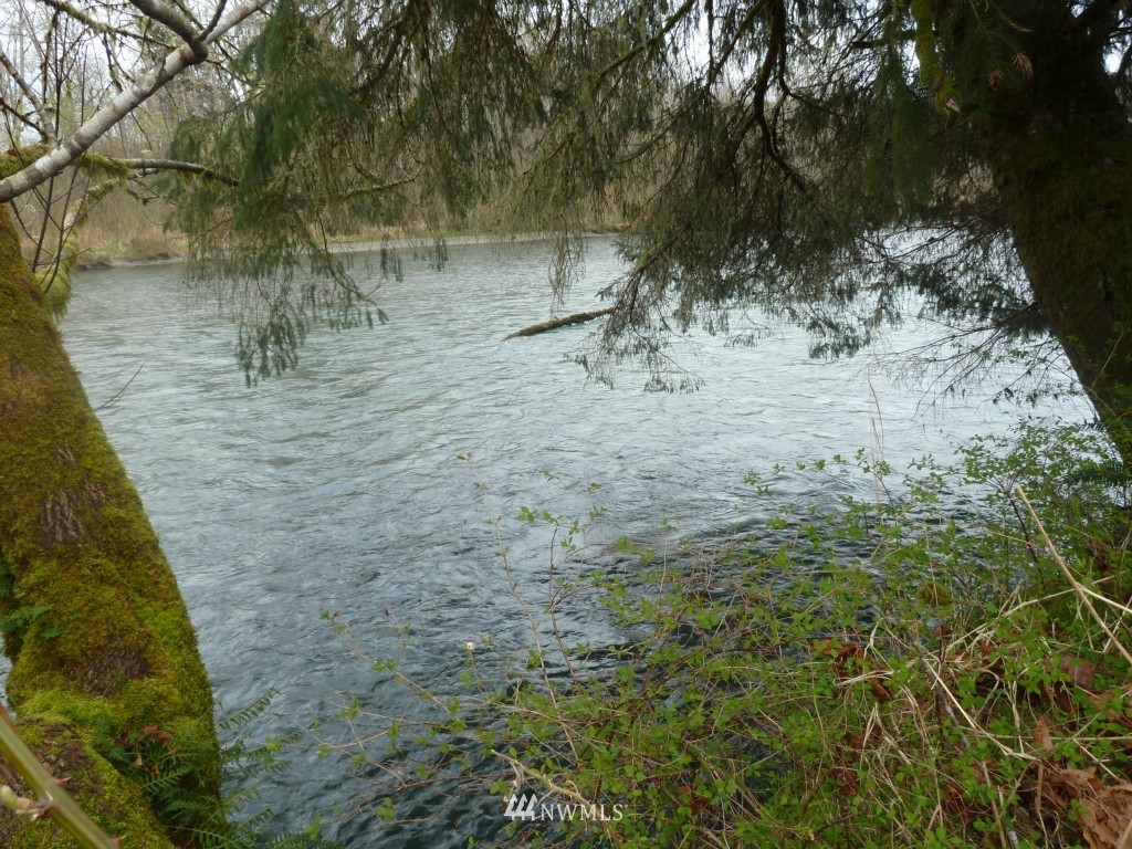 908 Geissler Road Montesano, WA 98563 - Photo 10 of 14 Gallery Image 10