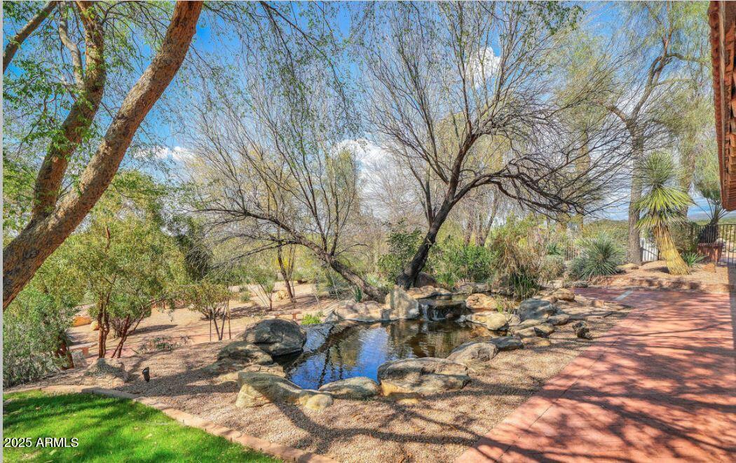 28331 West Rocking Horse Lane Morristown, AZ 85342 - Photo 18 of 22 a picture of trees