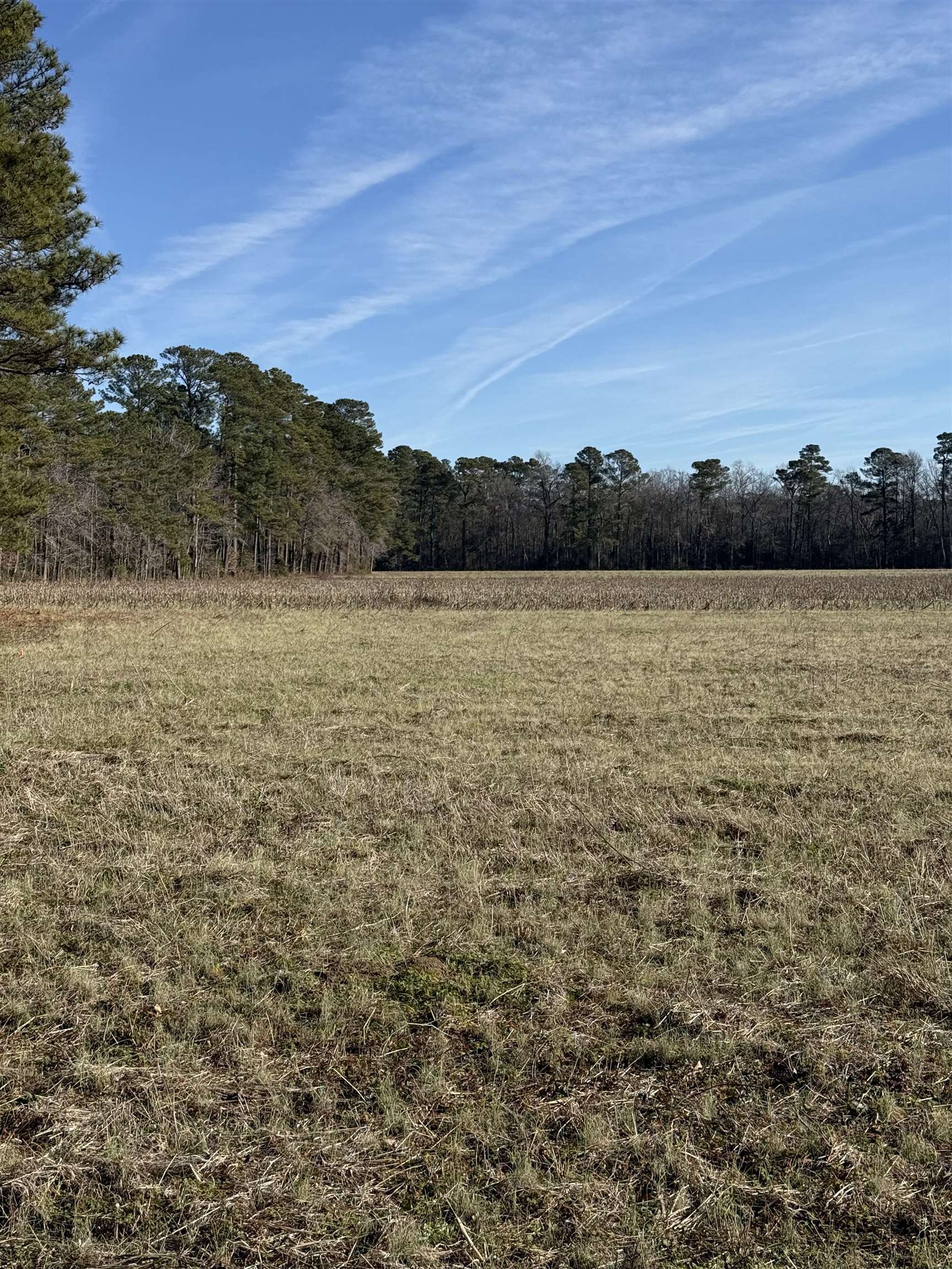 Lot 5 Johnson Shelly Road Conway, SC 29526 - Photo 5 of 10