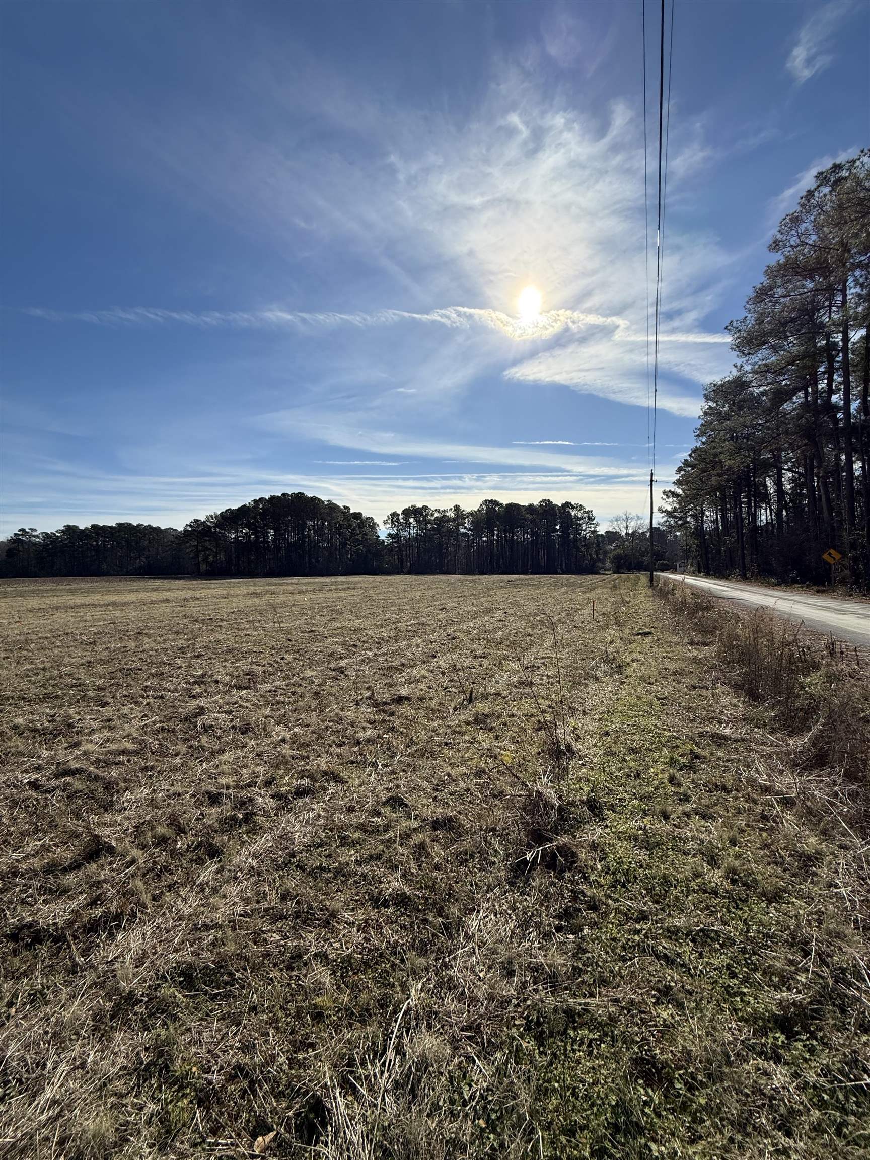 Lot 5 Johnson Shelly Road Conway, SC 29526 - Photo 9 of 10