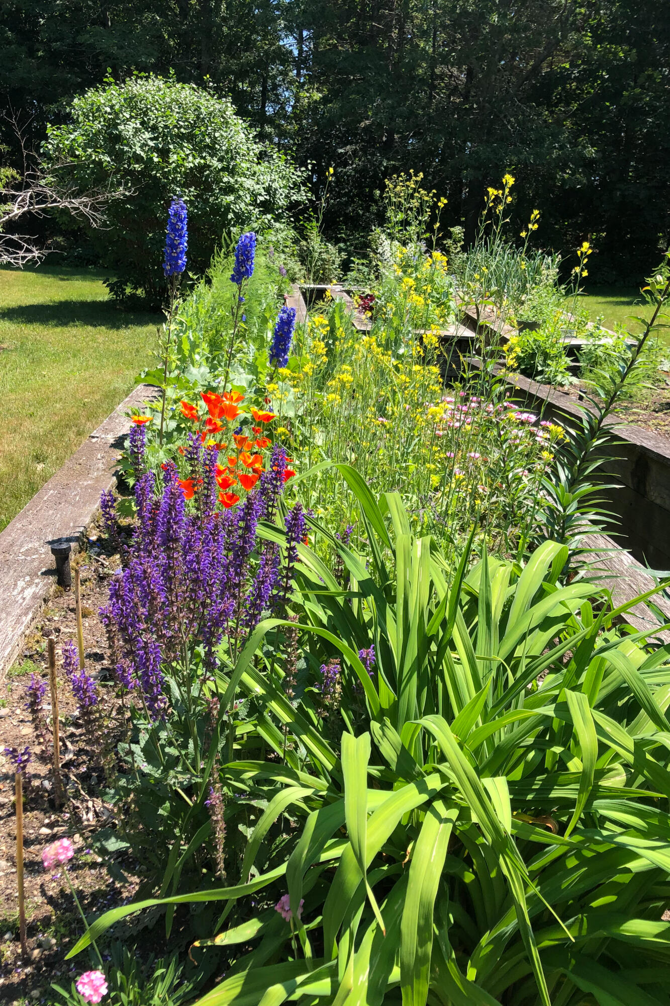 28 Orne Lane Cushing, ME 04563 - Photo 130 of 140 28 Orne Ln. Cushing-130