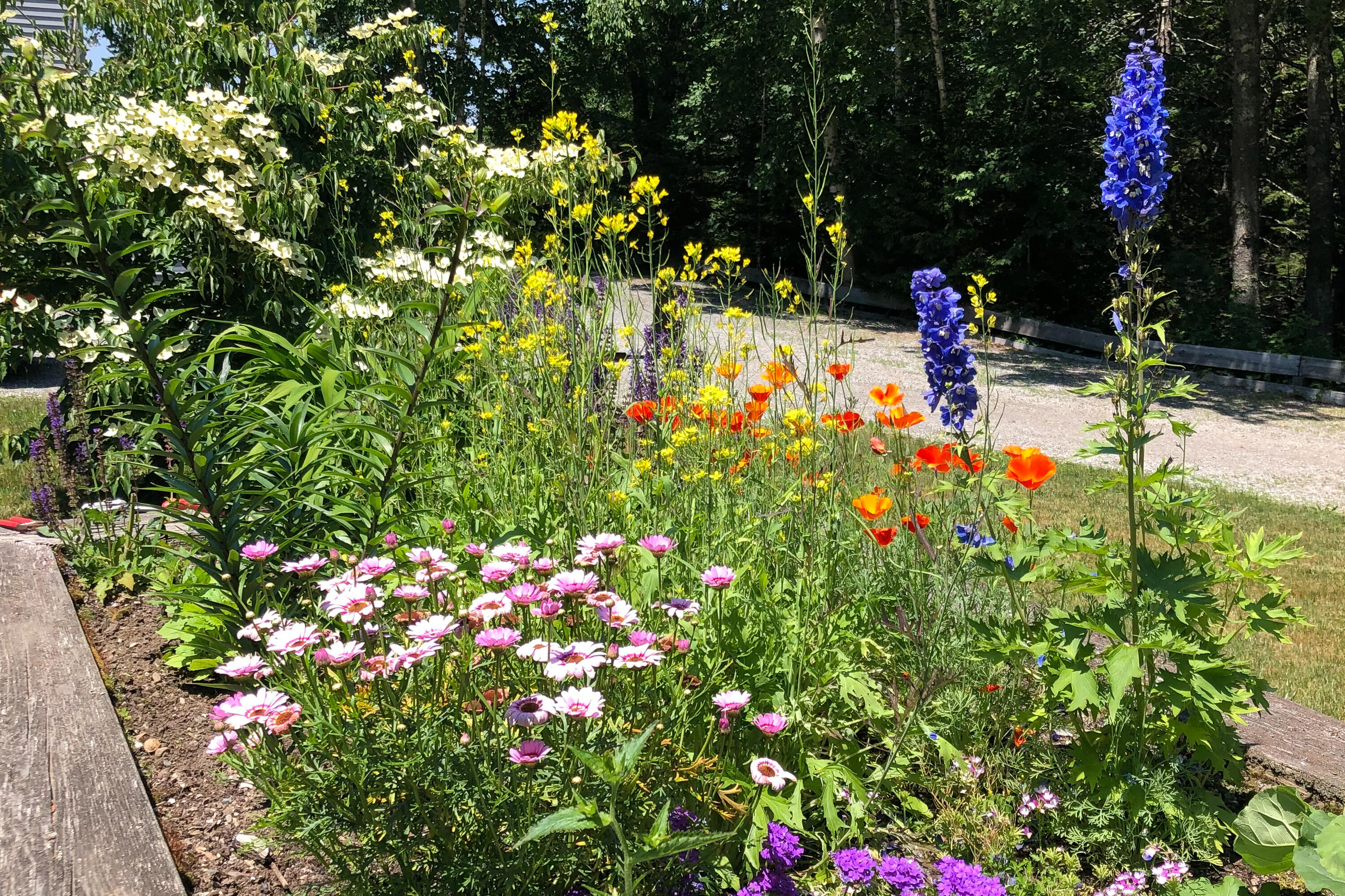 28 Orne Lane Cushing, ME 04563 - Photo 131 of 140 28 Orne Ln. Cushing-131