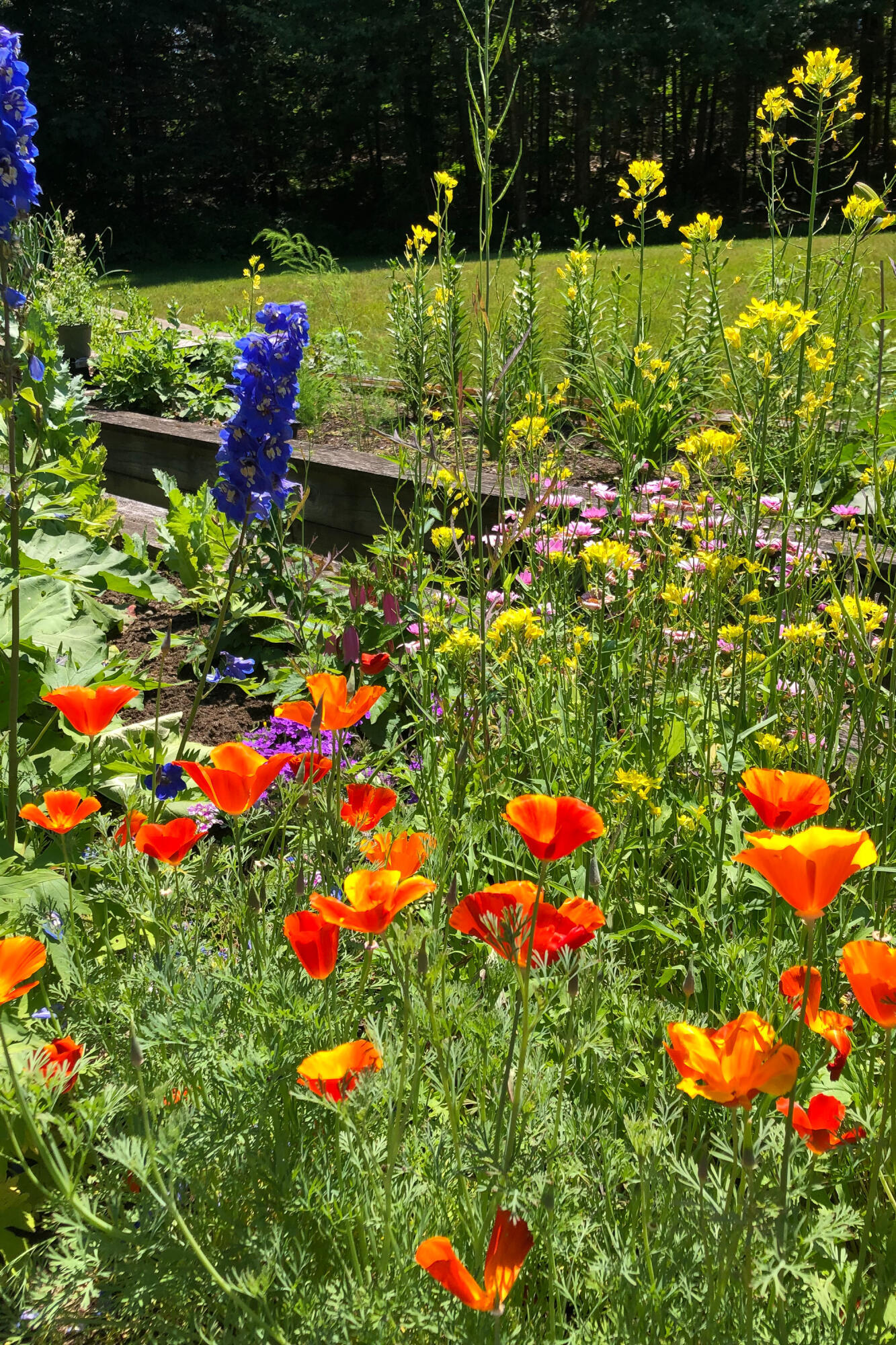 28 Orne Lane Cushing, ME 04563 - Photo 132 of 140 28 Orne Ln. Cushing-132