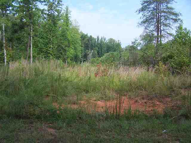 0 Honeysuckle Road Campobello, SC 29322 - Photo 2 of 2
