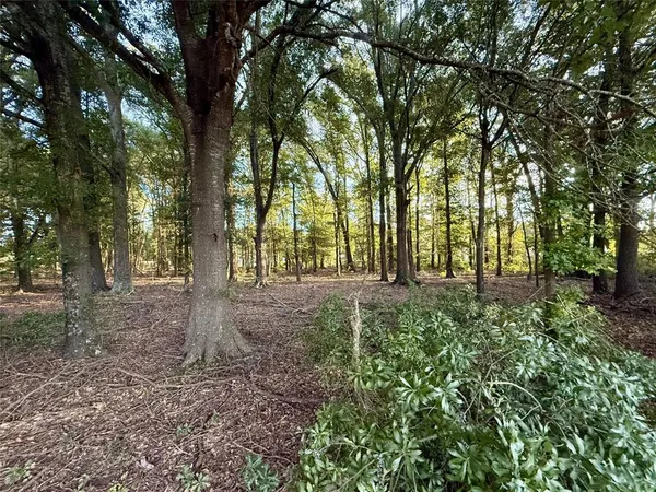 $999,999 | 1211 VZ County Road, Canton, TX 75103