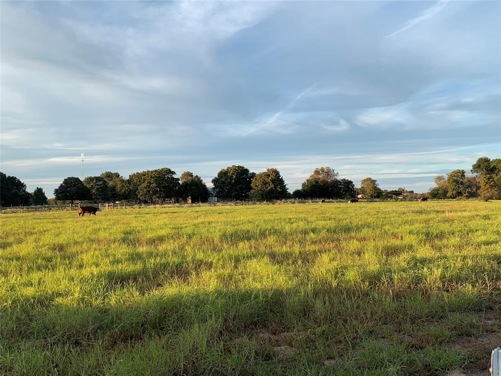 1211 VZ County Road Canton, TX 75103 - Photo 34 of 39 a view of an ocean from under an umbrella