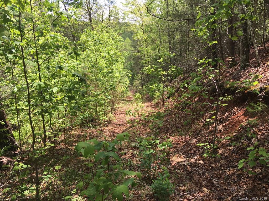 559 Lower Haw Branch Road Marion, NC 28752 - Photo 1 of 14 Gallery Image 1