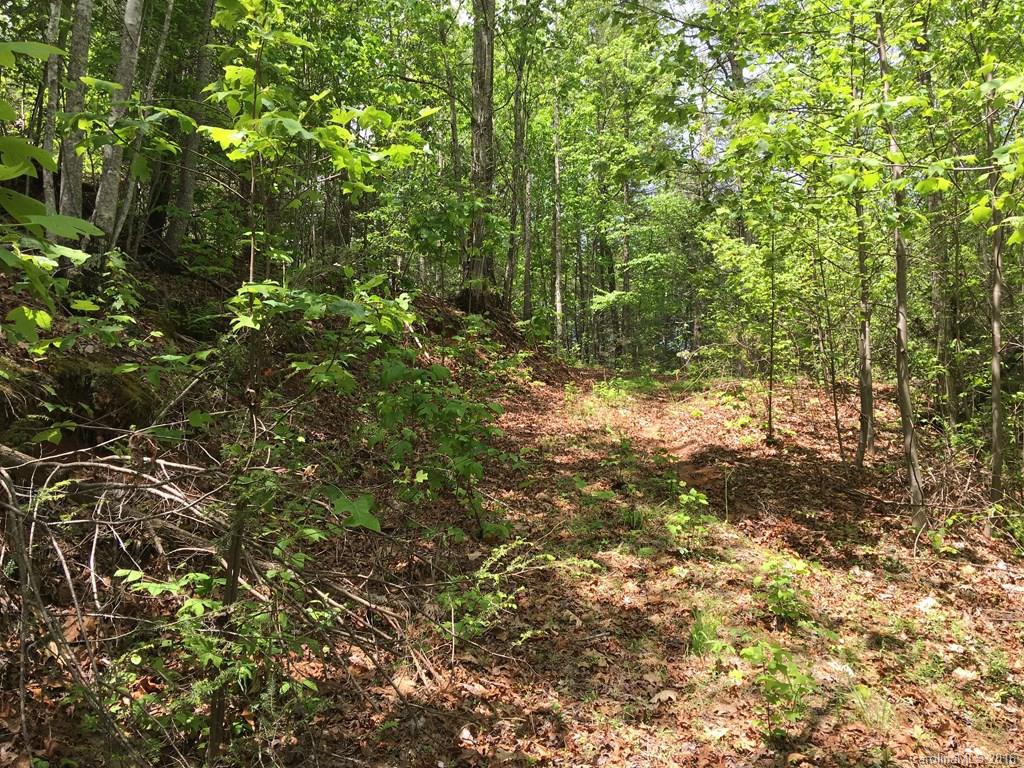 559 Lower Haw Branch Road Marion, NC 28752 - Photo 2 of 14 Gallery Image 2