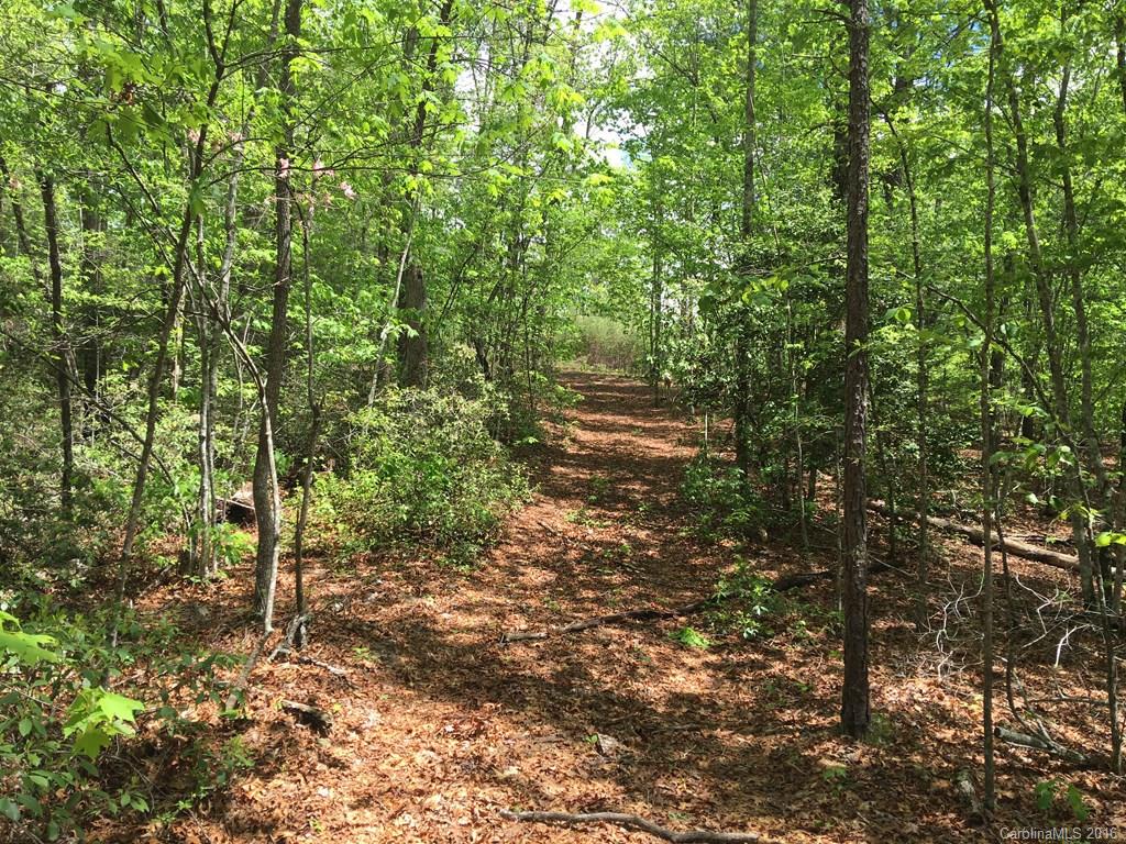 559 Lower Haw Branch Road Marion, NC 28752 - Photo 11 of 14 Gallery Image 11