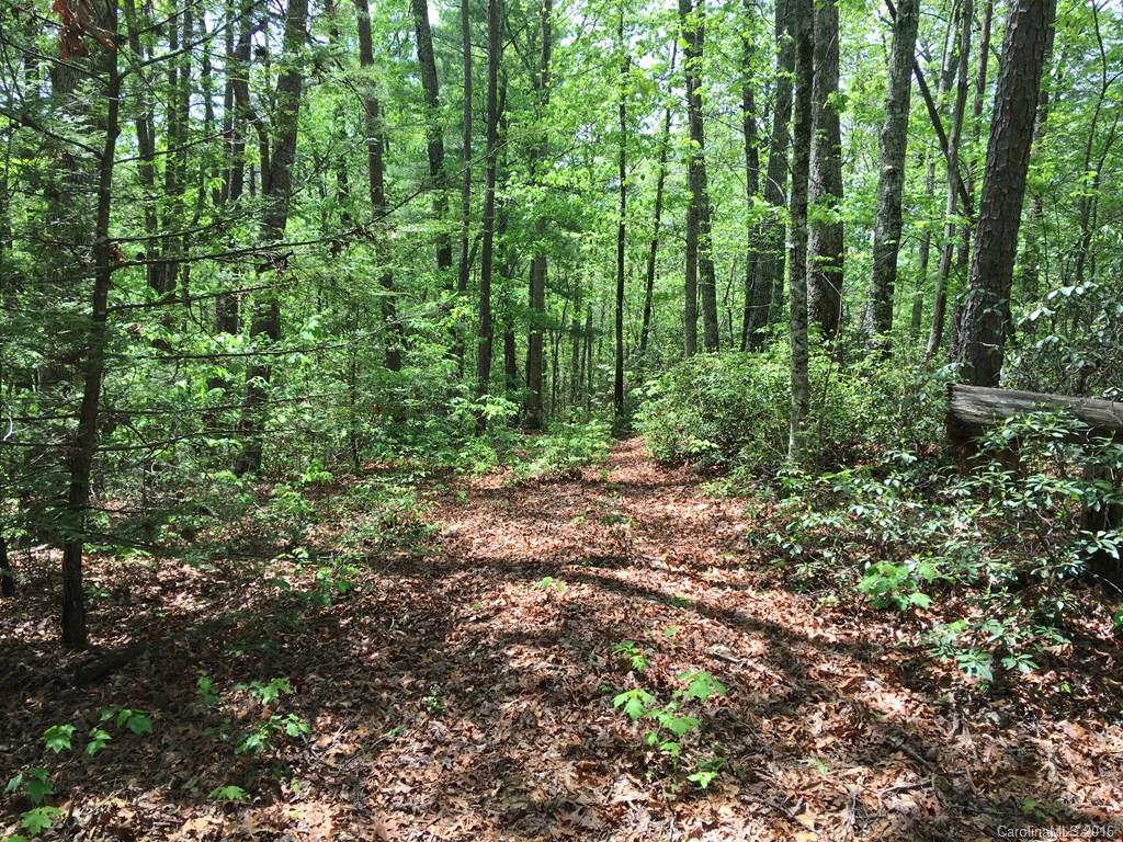 559 Lower Haw Branch Road Marion, NC 28752 - Photo 12 of 14 Gallery Image 12