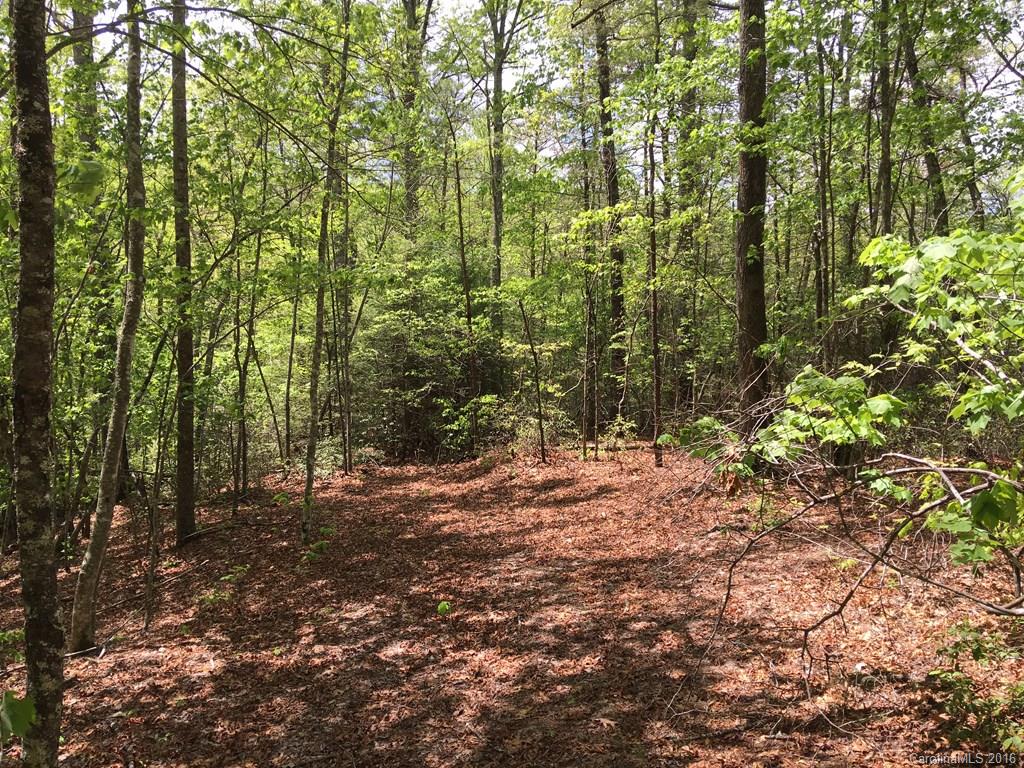 559 Lower Haw Branch Road Marion, NC 28752 - Photo 13 of 14 Gallery Image 13