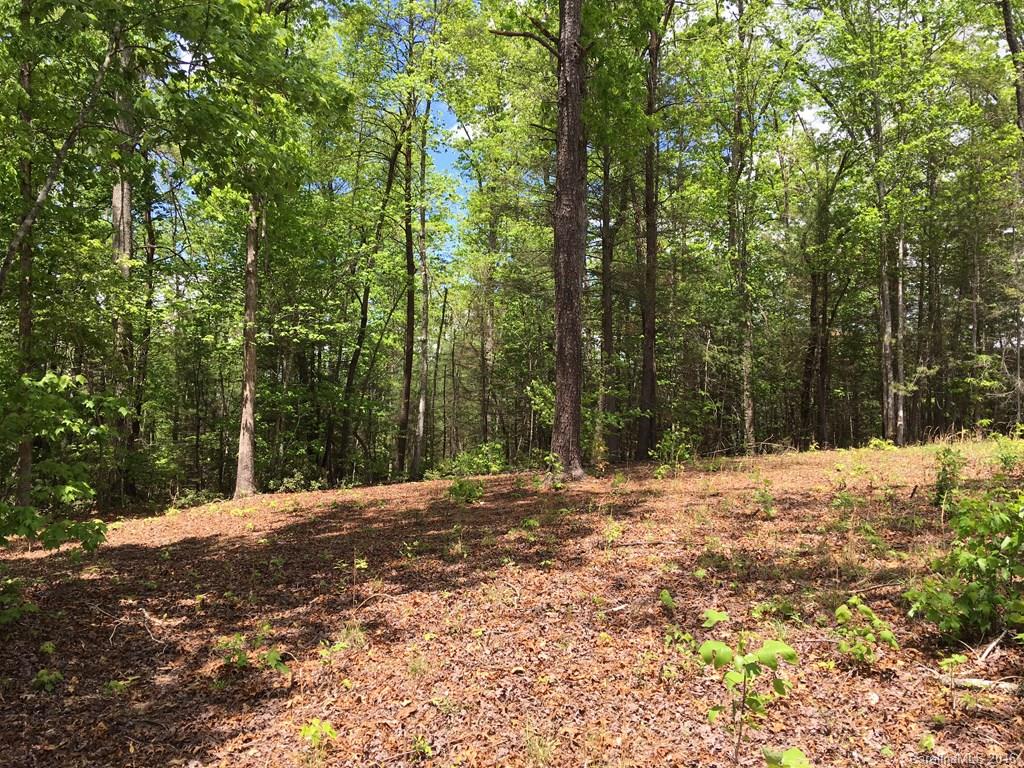 559 Lower Haw Branch Road Marion, NC 28752 - Photo 14 of 14 Gallery Image 14