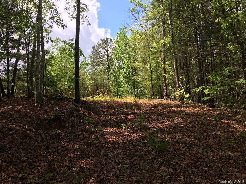 559 Lower Haw Branch Road Marion, NC 28752 - Photo 3 of 14 Gallery Image 3