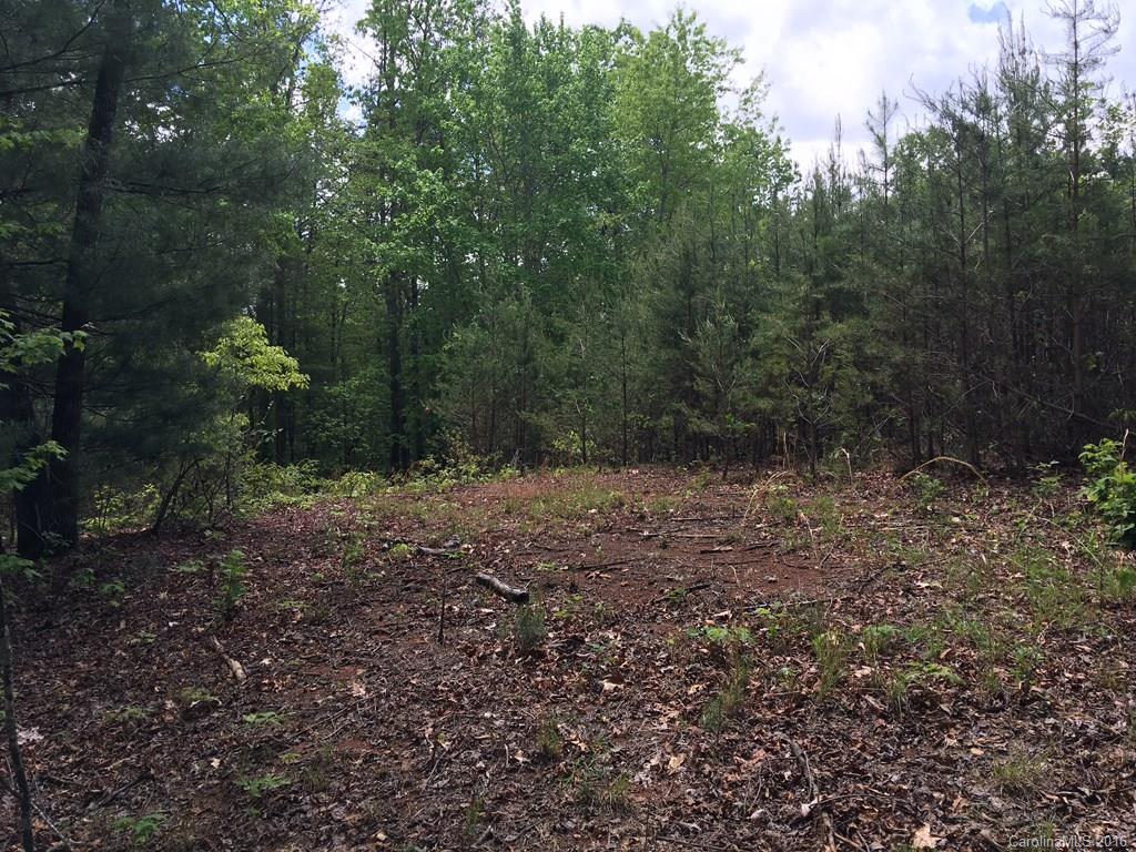 559 Lower Haw Branch Road Marion, NC 28752 - Photo 4 of 14 Gallery Image 4
