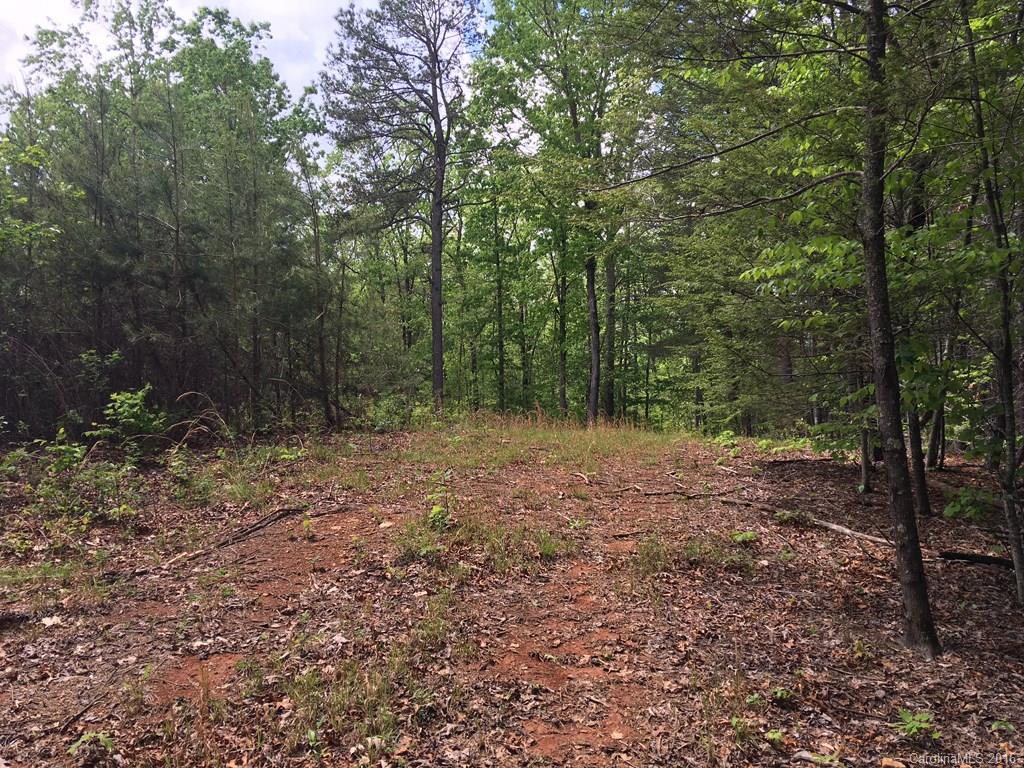 559 Lower Haw Branch Road Marion, NC 28752 - Photo 5 of 14 Gallery Image 5