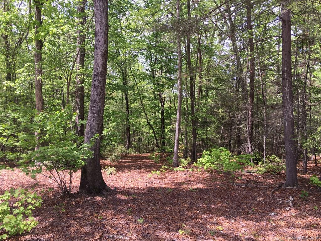 559 Lower Haw Branch Road Marion, NC 28752 - Photo 6 of 14 Gallery Image 6