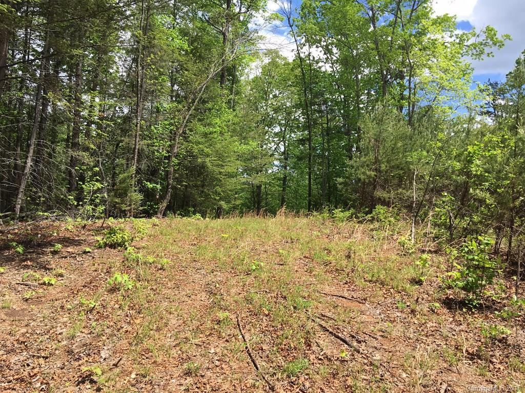 559 Lower Haw Branch Road Marion, NC 28752 - Photo 7 of 14 Gallery Image 7