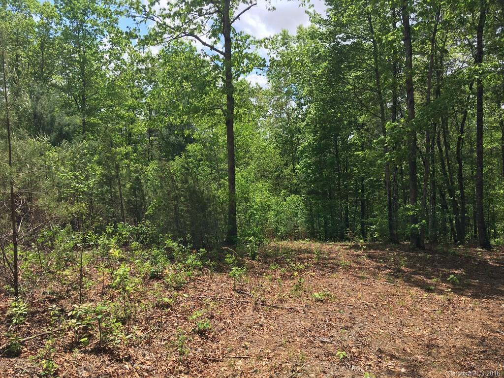 559 Lower Haw Branch Road Marion, NC 28752 - Photo 8 of 14 Gallery Image 8