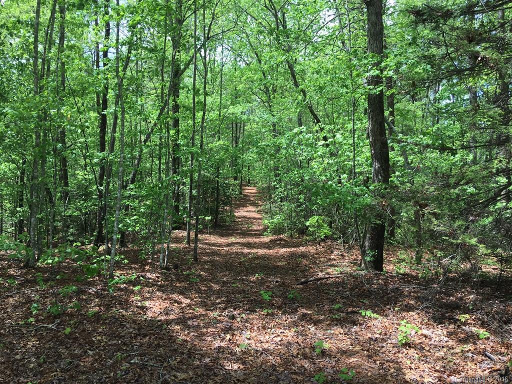 559 Lower Haw Branch Road Marion, NC 28752 - Photo 9 of 14 Gallery Image 9
