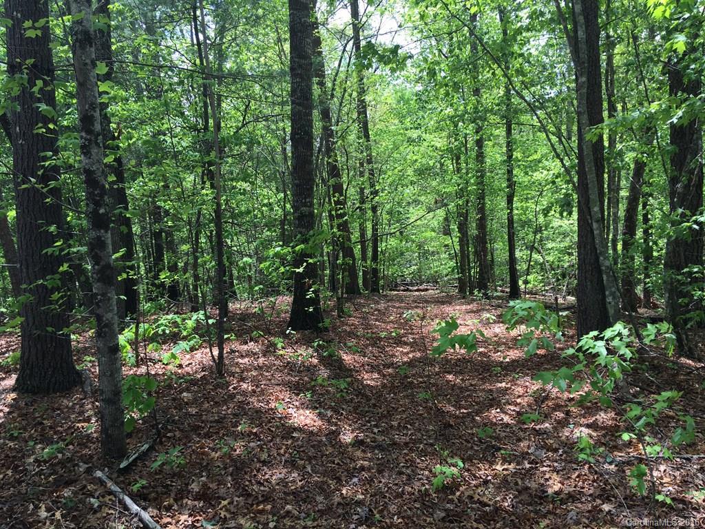 559 Lower Haw Branch Road Marion, NC 28752 - Photo 10 of 14 Gallery Image 10