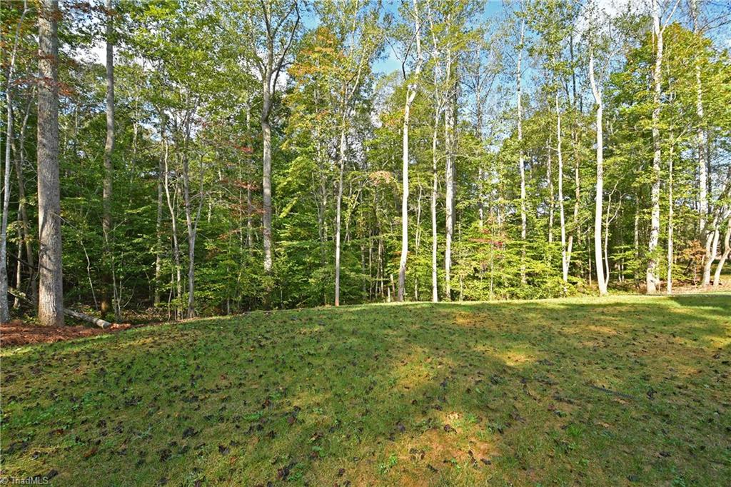 630 Conrad Road Lewisville, NC 27023 - Photo 22 of 23 How would you love having a 7+ acre yard? Beautifully landscaped with planted trees and shrubs.....